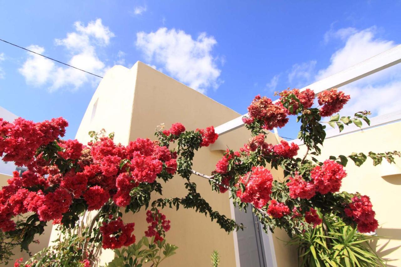 Ersi Villas Fira  Exterior foto